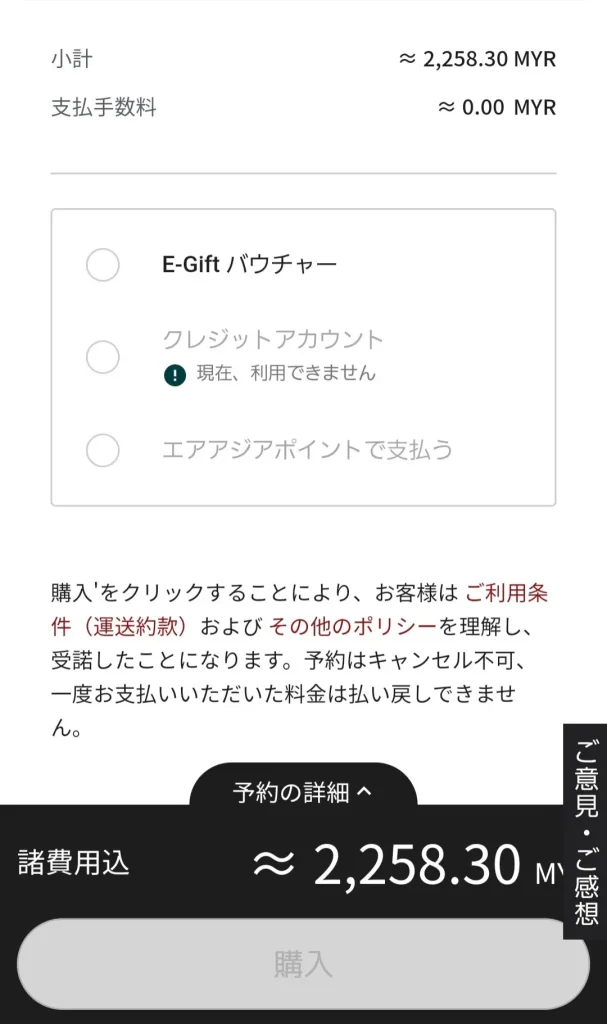 エアアジアを予約した後、最終的に支払い方法の選択ができる（支払い方法は、日本人はクレジットカードのみ）